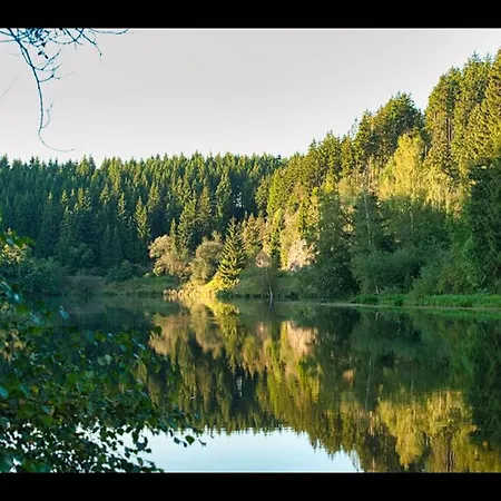 Your With A Fireplace In The Harz Mountains Дом отдыха *