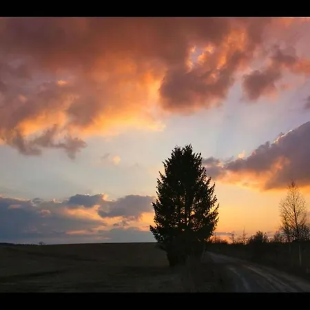 Your With A Fireplace In The Harz Mountains 度假居 哈瑟尔费尔德