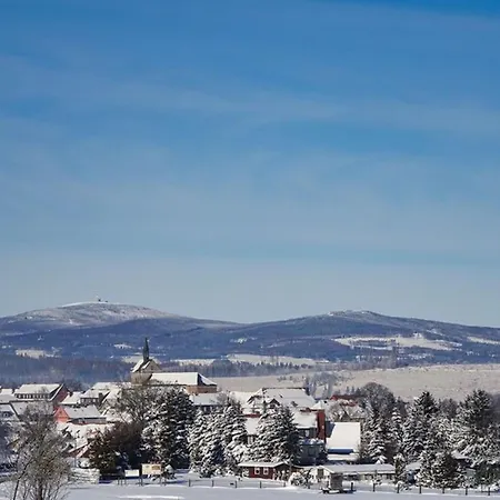 Дом отдыха Your With A Fireplace In The Harz Mountains *